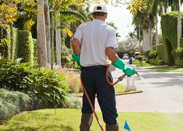About Terrebonne OR Pest Control Pros